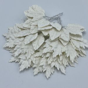 Hovedbilde Blader, hvit