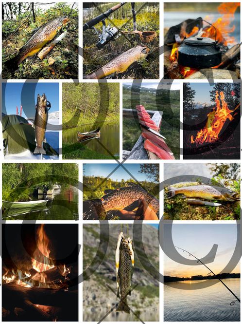 Hovedbilde Fiskemotiv ( 25 klippeark )