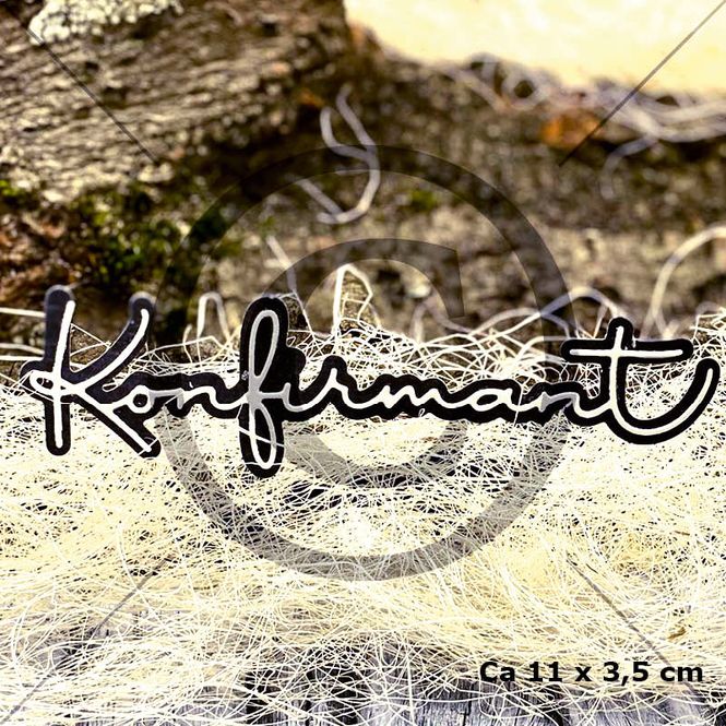 Hovedbilde Konfirmant 31 (6 dies )