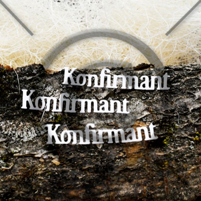 Hovedbilde Konfirmant 27 ( 6 dies )
