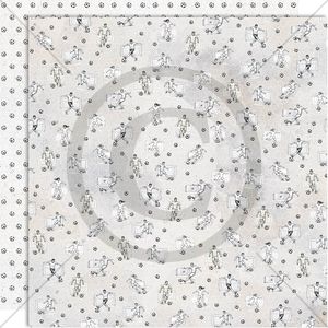 Hovedbilde PD 1603 Fotballspillere